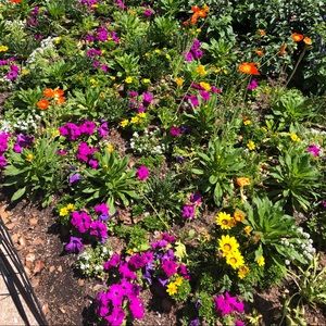 Meet your Posher, Laura